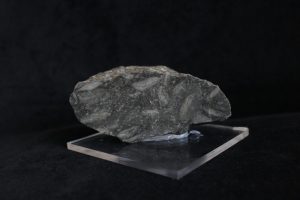 Fosilli (Orbitoides) Kireçtaşı