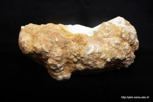 Karnıbahar Manyezit