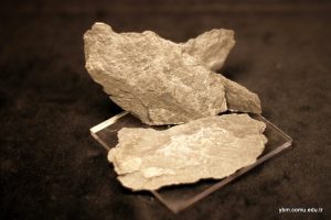 Kellwasser Siyah Şeyl